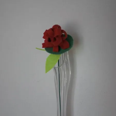 Miguas House * Baião