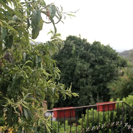 Miguas House * Baião