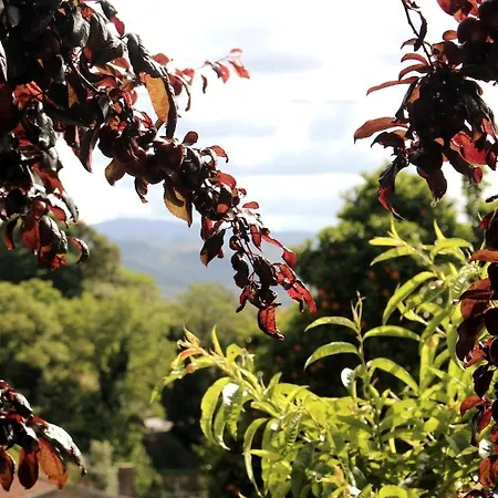 Miguas House Tatil Evi *