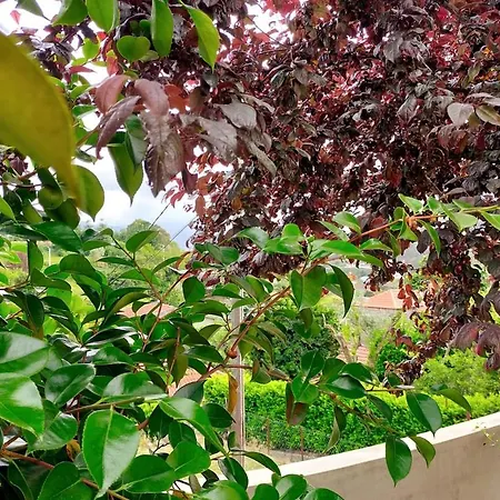 Miguas House Prázdninový dům