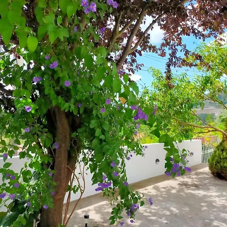 Miguas House Tatil Evi Baião