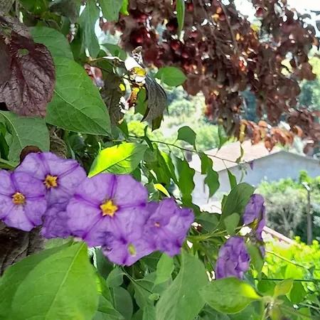 Miguas House Prázdninový dům *