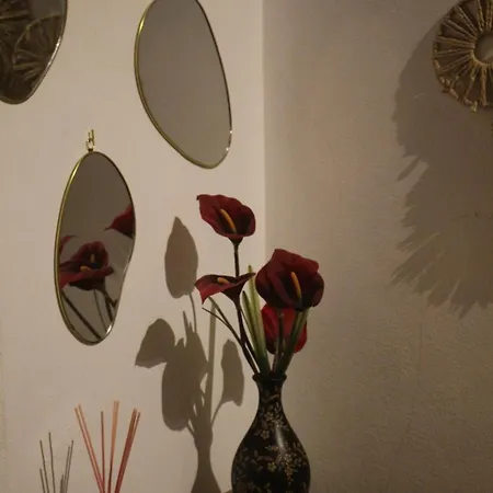 Miguas House * Baião