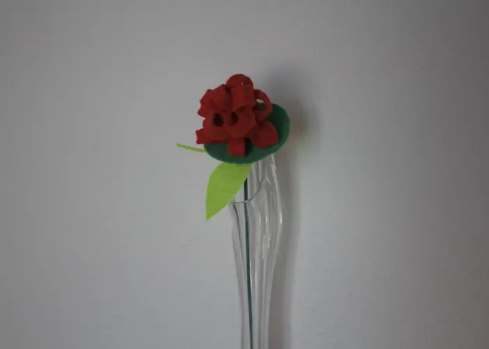 Miguas House * Baião