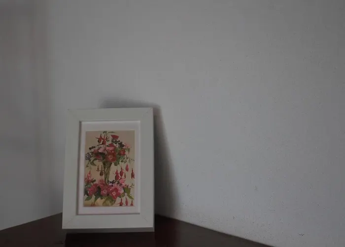 Miguas House 펜션 바이아오