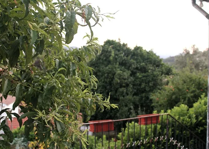 Miguas House * Baião