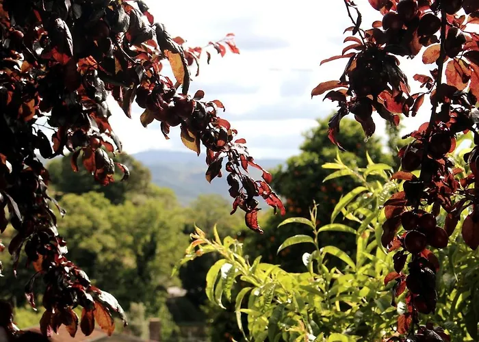 Miguas House 펜션 *