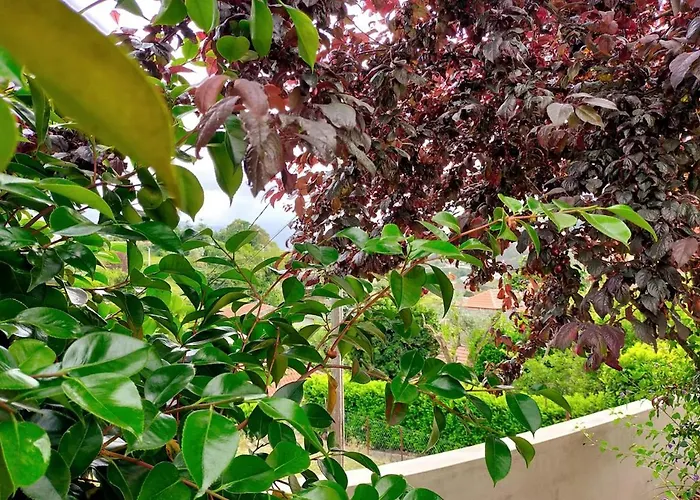 Miguas House Hébergement de vacances