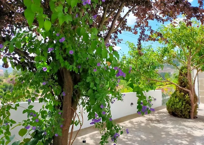 Miguas House 펜션 바이아오