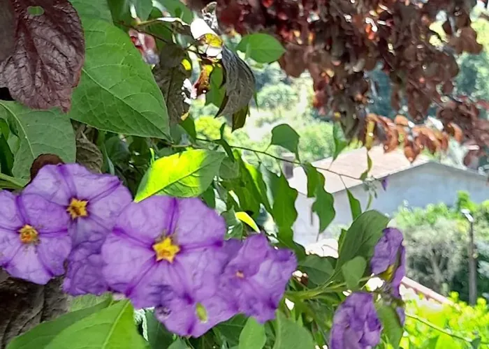 Miguas House Hébergement de vacances *