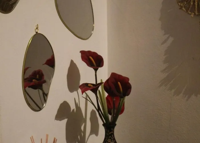 Miguas House * 바이아오